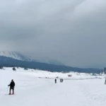 Untitled-design-34-2