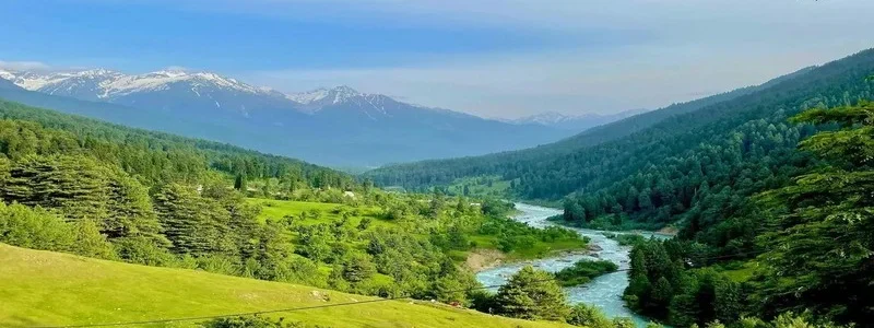 165685072262c189221928f